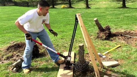 I would wait for that. Remove tree stump with hi-lift jack | Tree stump, Removing ...