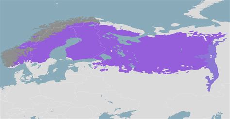 Ural Mountains And West Eurasian Taiga Forests Pa8 One Earth