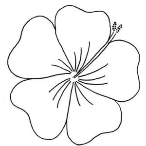 Maybe you would like to learn more about one of these? outline flowers pictures 20 free Cliparts | Download ...
