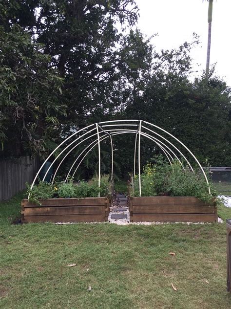 Set aside long, slender whips when pruning or pollarding in spring. Build your own Garden Arch to protect your veggies and ...