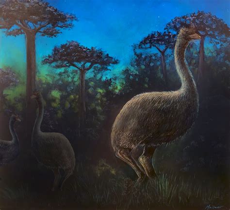 Elephant Birds The Biggest Avians To Walk The Earth Were Practically