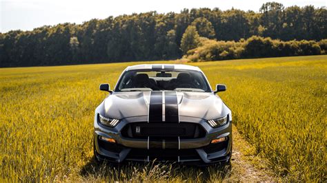 Ford Mustang Shelby Gt350 Backiee
