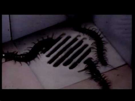 Centipede Horror Human Terror Trailer Youtube