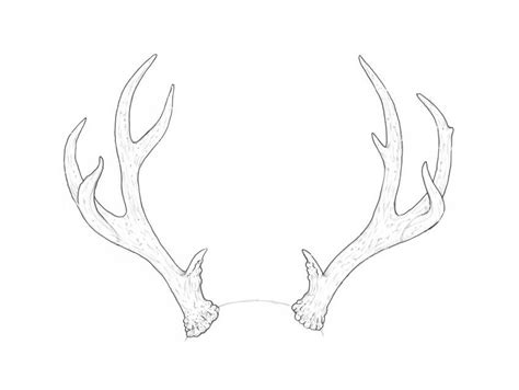 How To Draw Antlers Step By Step