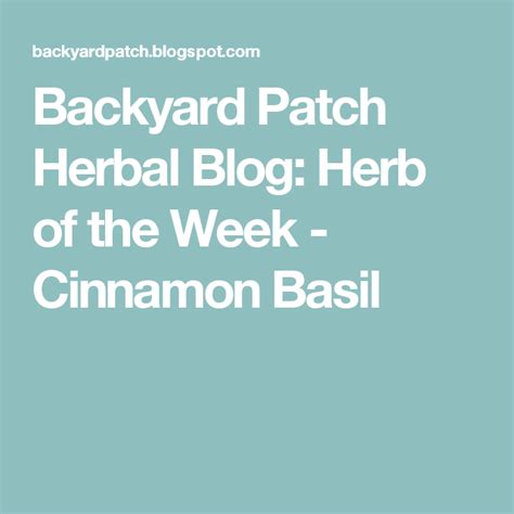 Backyard Patch Herbal Blog Herb Of The Week Cinnamon Basil Cinnamon