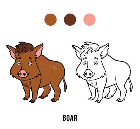 Wild Boar Coloring Stock Illustrations 253 Wild Boar Coloring Stock