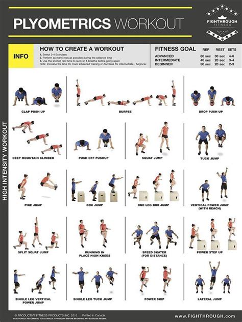 Complete Garage Gym Laminated Poster Set Of 8 Chart Strength