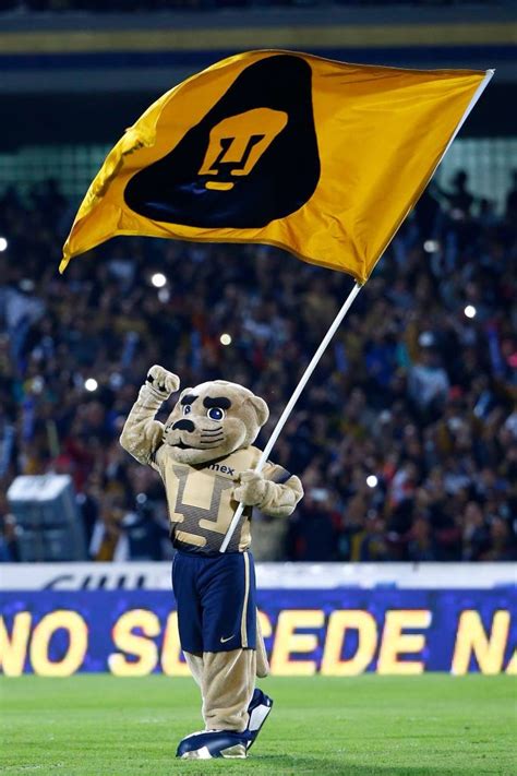 Calendrier des matchs en direct de pumas unam. Goyo prendiendo a la afición. | Pumas unam, Pumas, Pumas ...