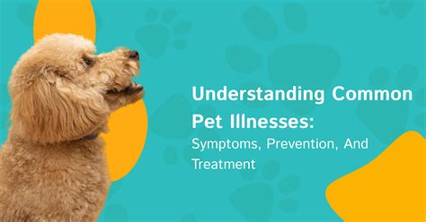 Understanding Common Pet Illnesses: Symptoms, Prevention, And Treatment