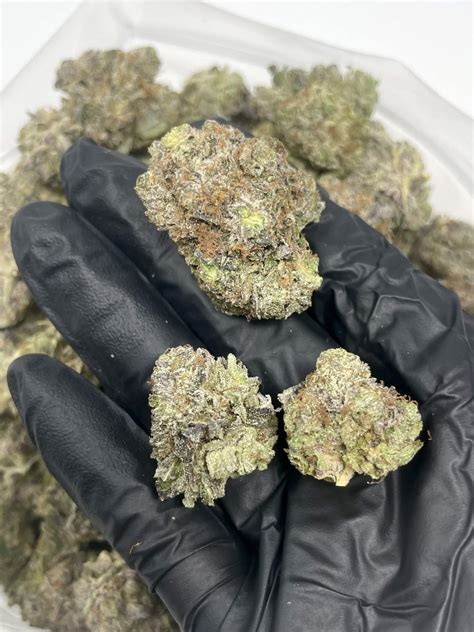 Gas Mask Kush Wholesale Bc Medi Chronic Buy Gas Mask Online