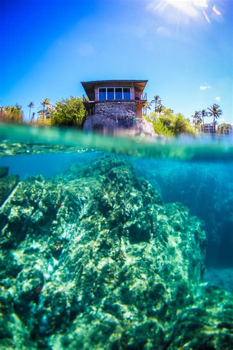 Maui Snorkeling Guide: Namalu Bay (Cliff House) — TRILOGY CAPTAIN'S LOG