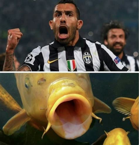 La vida de carlos tévez para una segunda temporada probablemente los nuevos episodios se estrenarían en algún momento del. Los "memes" del Madrid ganan en la semifinal de la ...