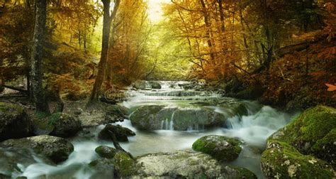 Waterfall In Autumn Forest Stock Image Image Of Outside 12018917