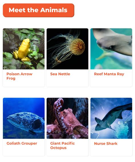 Book Sea Aquarium Sentosa Singapore Ticket Online
