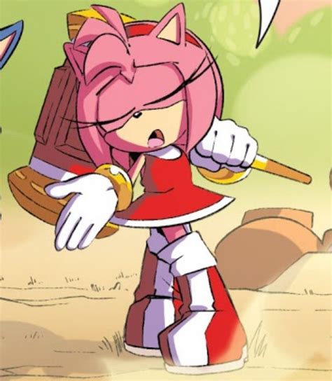 Amy Rose Archie Comics Amy Rose Amy The Hedgehog Cute Icons