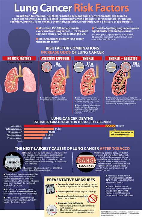 Lung Cancer Risk Factors Infographic Infographic List