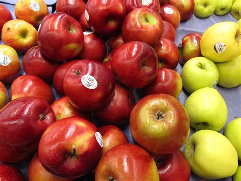 'north star' sour cherry is an exception. Dwarfing Rootstocks for Apple Trees | What Grows There ...