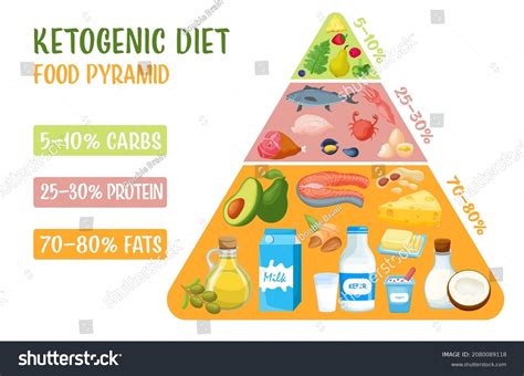 Low Carbohydrate Diet Diagram Medical Pyramid Stock Vector Royalty
