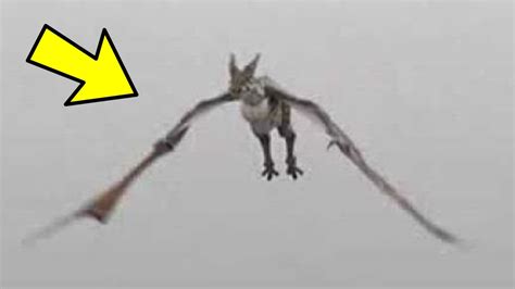 10 Mythical Creatures Caught On Camera