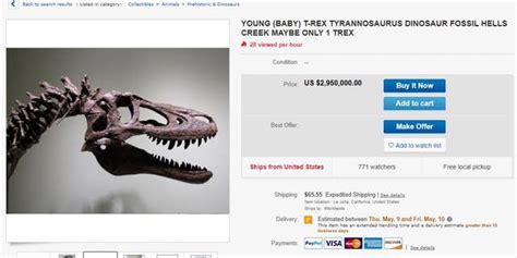 Rare Baby T Rex Skeleton Listed On Ebay For 3m Infuriates