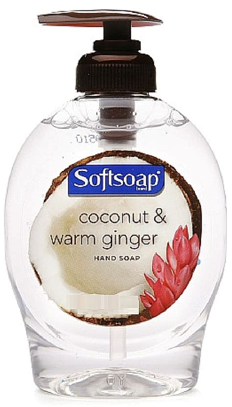 Softsoap Hand Soap Coconut And Warm Ginger 550 Oz Pack Of 2