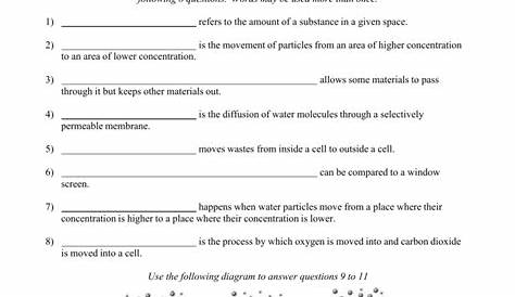 Diffusion-Osmosis-Worksheet 4