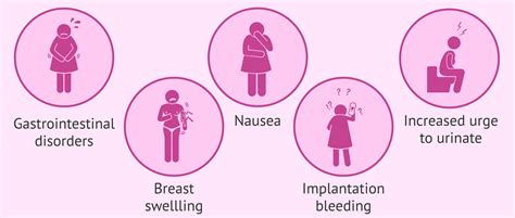 Main Symptoms Of Embryo Implantation
