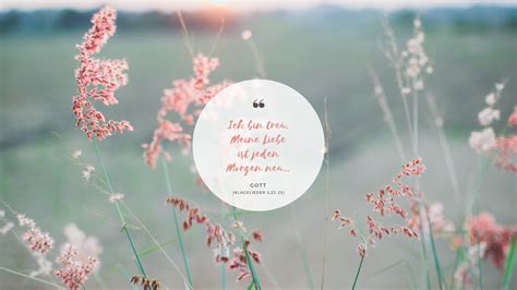 Sammlung von petra parting • zuletzt aktualisiert: Gott ist Liebe | Gott ist treu