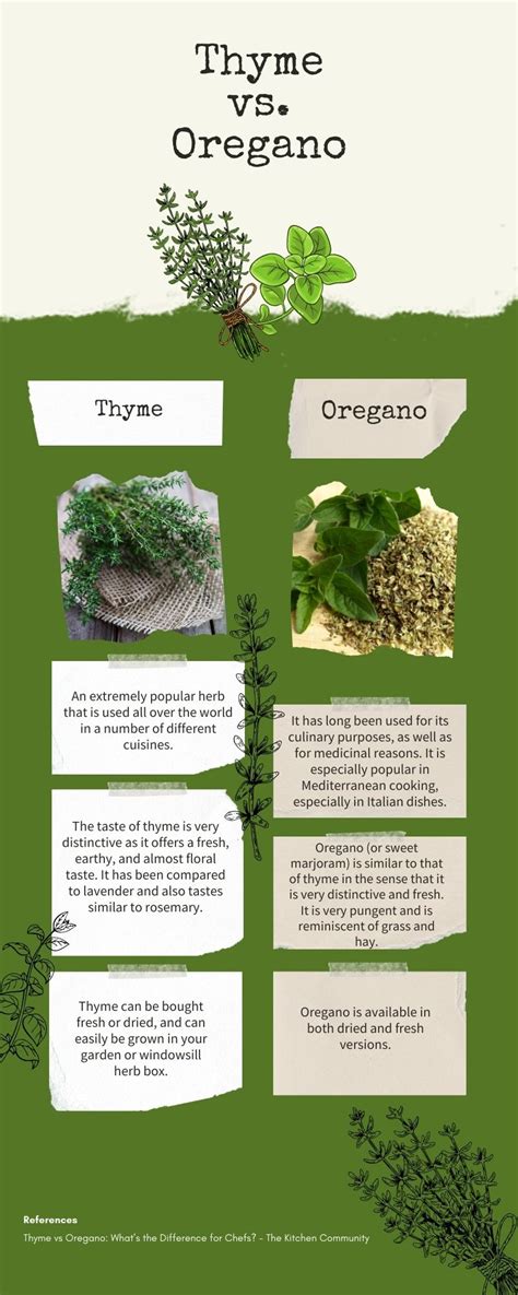 Comparing The Ultimate Herbs Thyme Vs Oregano