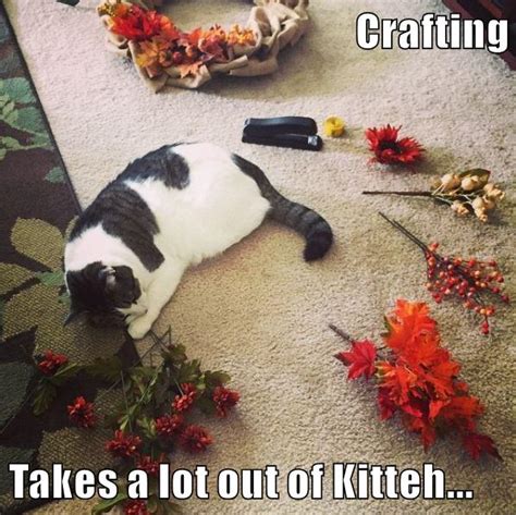 Crafting Takes A Lot Out Of Kitteh Lolcats Lol Cat Memes