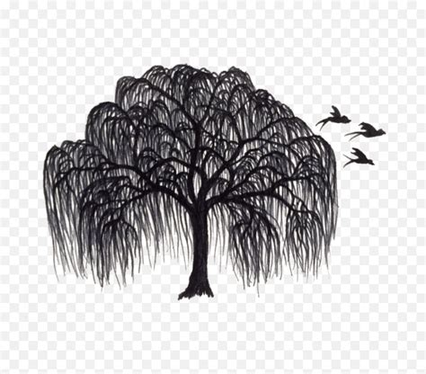 Willow Tree Clip Art Library
