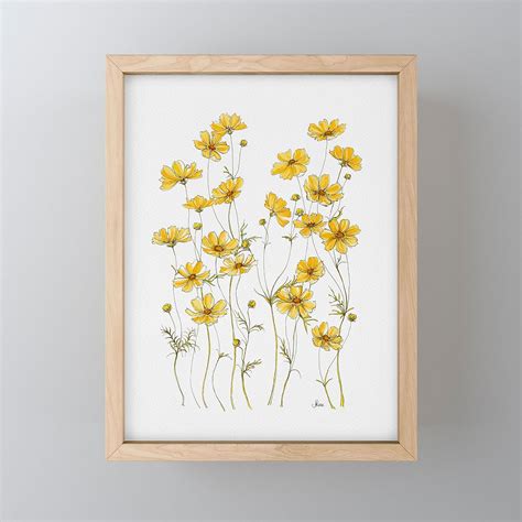 Jessica Hanselmann Yellow Cosmos Flowers Art Print Yellow Flowers