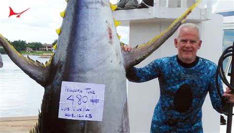 Record Yellowfin Tuna Caught Sets Standard For Dominican Republic