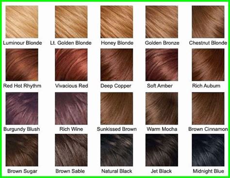 Cinnamon Hair Color 11725 Plum Purple Hair Dye Brown Hair Color Chart