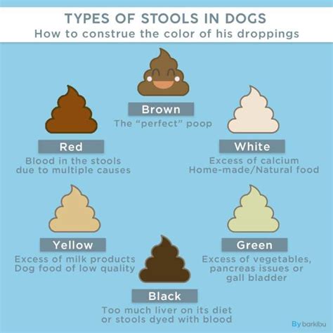 Dog Poop Color Chart Coloring