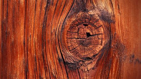 Download Gorgeous High Resolution Wood Background