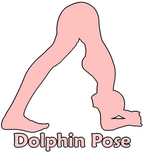 Dolphin Pose Free Stock Photo By Massagenerd On Stockvault Net