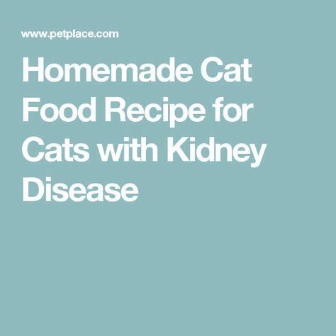 Thanks to its specific proportion of ingredients, cat food for the best wet cat food for kidney disease will provide a feline with extra flavor and moisture, necessary to consume when ill. Homemade Cat Food Recipe for Cats with Kidney Disease ...