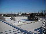Tpa Roofing