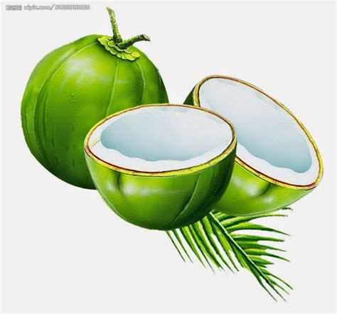 Gambar Pohon Kelapa Kartun Hijau Clipart Pohon Pohon Kelapa Pohon