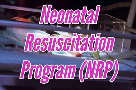 Neonatal Resuscitation Program Nrp The Rescue Company 1