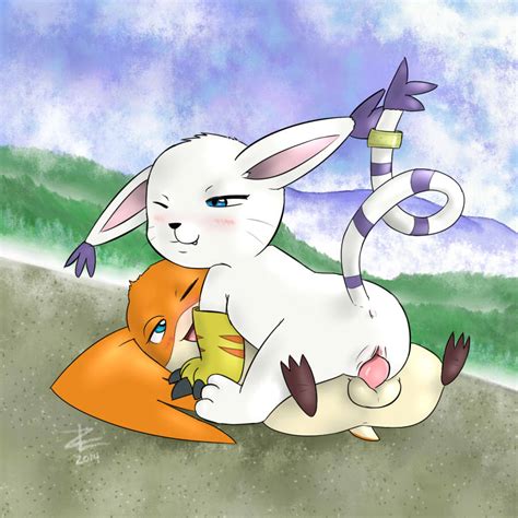 Gatomon And Patamon By Zekromlover Hentai Foundry