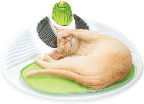 you can now get a wellness centre for your cat in 2020 cat toys cat grooming interactive cat