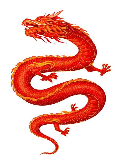 By Gina Kiel Red Chinese Dragon Chinese Dragon Art Chinese Dragon