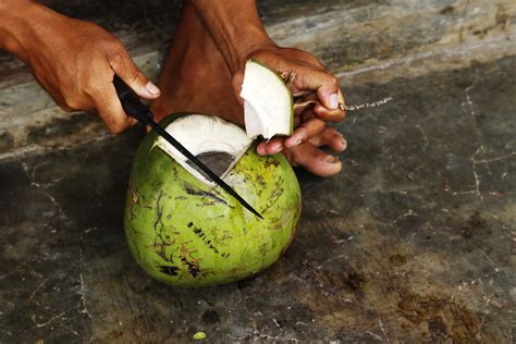 Uncovering the Health Benefits of Coconut Milk: A Nutrition