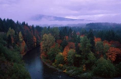 Misty Fall Day Cowichan River Vancouver Island River Island