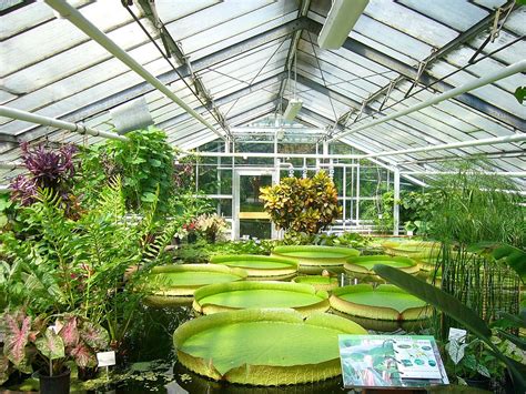 Thank you for this green house idea. Greenhouse - Simple English Wikipedia, the free encyclopedia