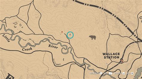 Red Dead Redemption 2 Online All Treasure Map Locations Bilder