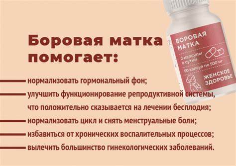 Диета в капсулах Купить Боровую матку в капсулах по низкой цене в «Алтайвита» Купить Боровую матку в капсулах по низкой цене в «Алтайвита» Диета в капсулах