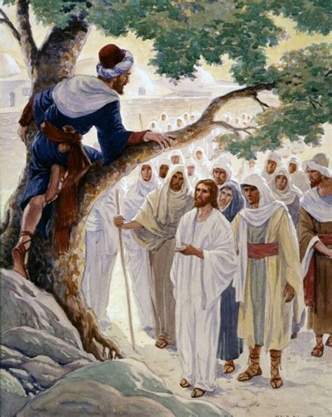 Zacchaeus A Tax Collector Who Climbed A Tree In Order To See Jesus